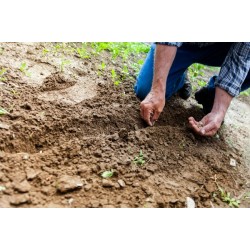 Agricultura Familiar